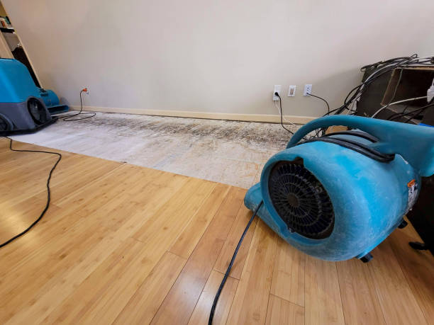 Professional Sewage Cleanup technician working in Fairview Heights, IL